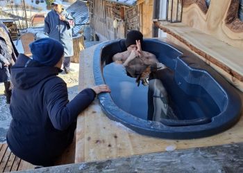 Eisbademeister 2. Gruppe (7).jpg