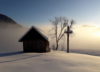 Winter november 2019 (4).jpg