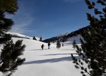 Dreilaenderwirt Lessach sneeuwwandelen.jpg